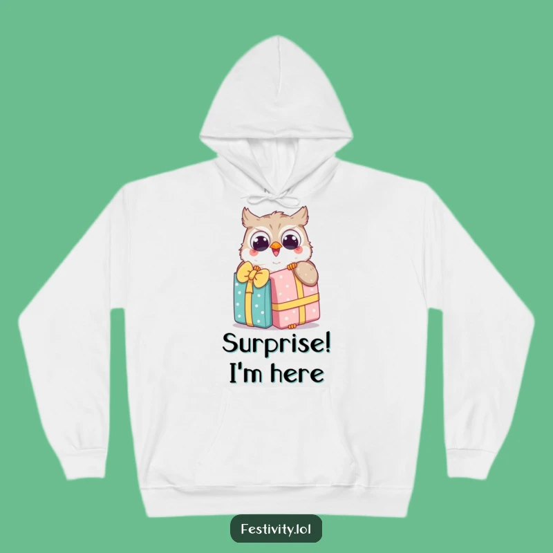 Cozy Funny Owl Gift Hoodie: Wrap Up in Joyful Surprise, Perfect Funny Gift